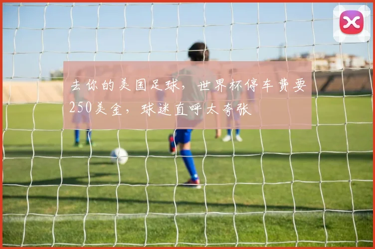 去你的美国足球,世界杯停车费要250美金,球迷直呼太夸张