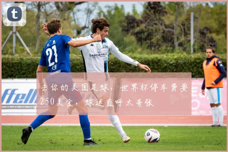 去你的美国足球，世界杯停车费要250美金，球迷直呼太夸张