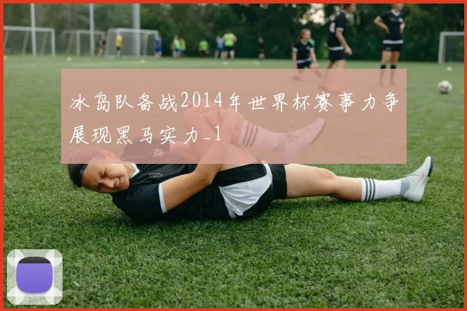 冰岛队备战2014年世界杯赛事力争展现黑马实力_1