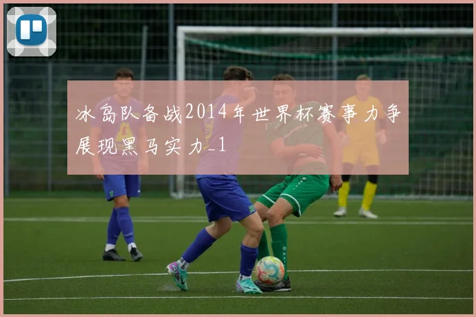 冰岛队备战2014年世界杯赛事力争展现黑马实力_1