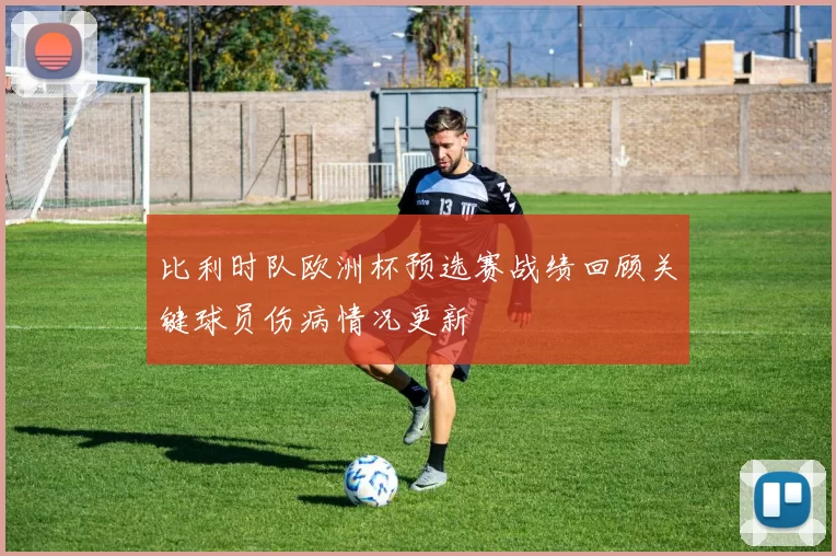 比利时队欧洲杯预选赛战绩回顾关键球员伤病情况更新