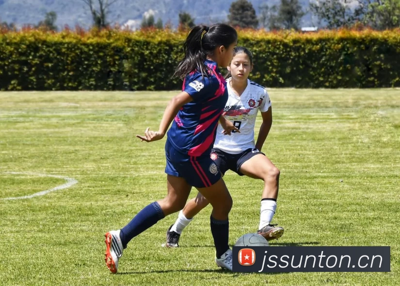 开云体育·(中国)APP全站下载APP 体育赛事宣传图